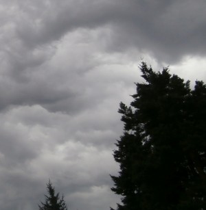 Diese Wolken können viel Regen für die Regenwassertonne bringen